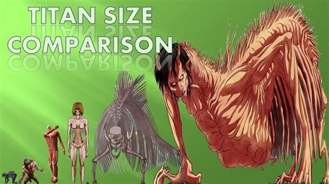 Size Comparison Of Titans In Attack On Titan 2020 Youtube