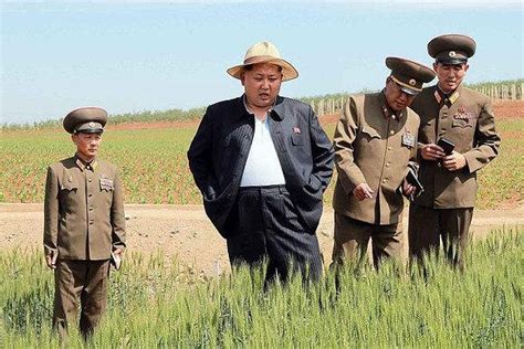 This interesting and unique north korean food is 'fake meat' wrapped around sticky rice, eaten with a generous helping of spicy/sweet sauce. North Koreans weary of potato rations, says source - UPI.com