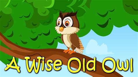 A Wise Old Owl Story Popular Nursery Rhyme Youtube
