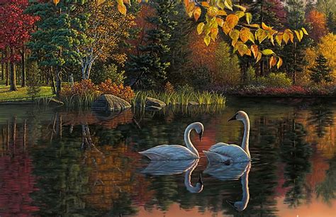 Swans In Autumn Sunset Autumn Swan Lake Hd Wallpaper Peakpx