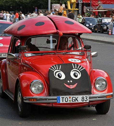 Ladybug Weird Cars Volkswagen Vw Beetles