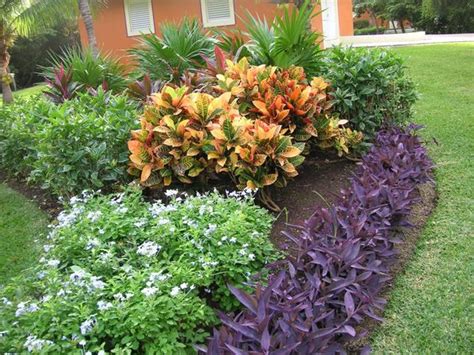Drought resistant plants refers to plants able to tolerate low levels of rainfall or watering. Drought tolerant plants, Tropical plants and Drought ...