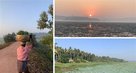 Blog Exploring Keralas Village Life And Attractions