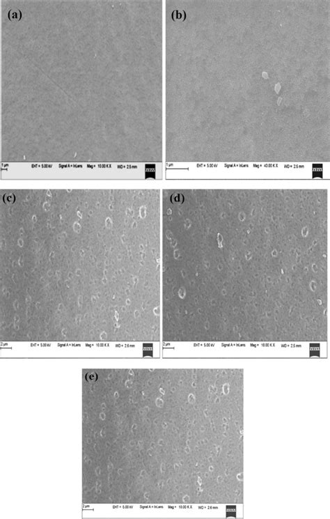 Sem Micrographs Of Pullulancollagen Blend Films Doped With Different