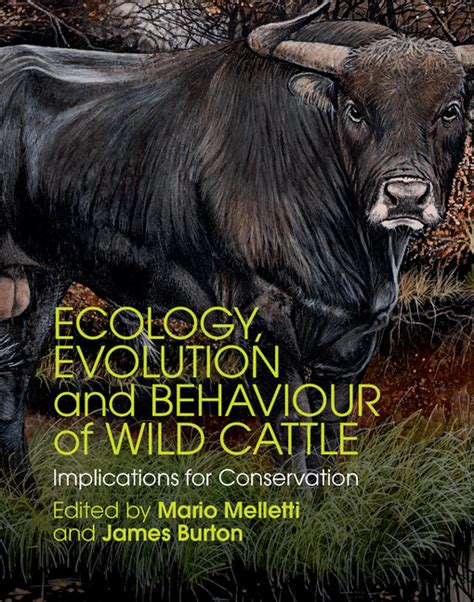 Ecology Evolution And Behaviour Of Wild Cattle