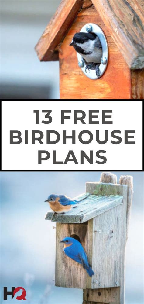 How to attract northern cardinals to your yard attracting birds wild about birds. 13 FREE Birdhouse Plans (Easy PDF/Video Instructions ...