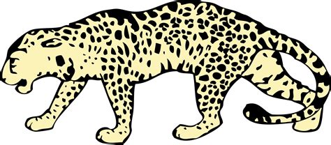 Leopard Png File Png Mart