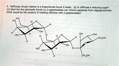 Solved 6raffinose Shown Below Is A Trisaccharide Found In Beetsa
