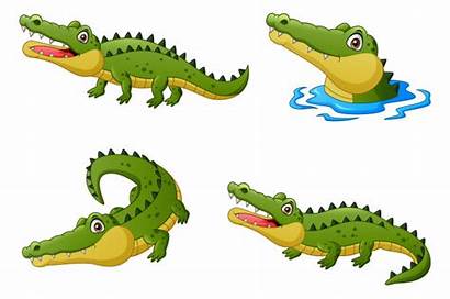 Crocodile Cartoon Funny Alligator Krokodil Premium Divertidos