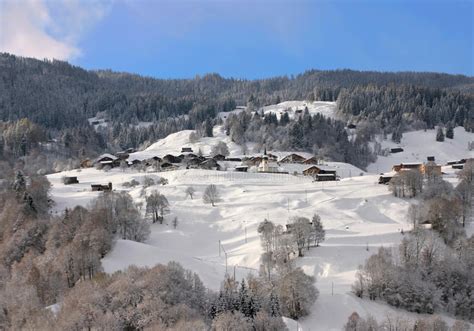 Winter View Of Snow Covered Village And Trees Stock Image