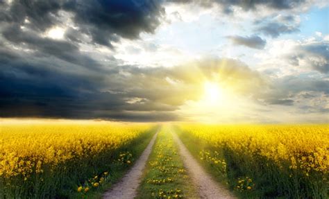 Maybe you would like to learn more about one of these? DYK: Are you on the straight and narrow path? | Days Gone By