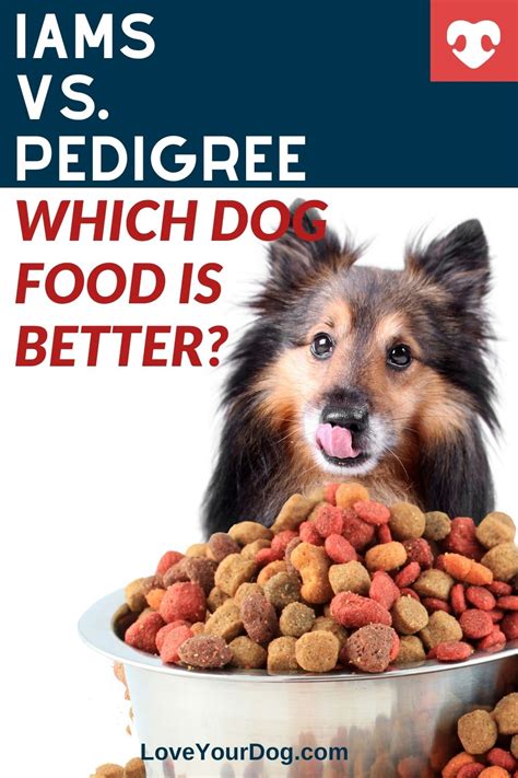 Iams Vs Pedigree Which Dog Food Is Better For Your Pup Dog Food