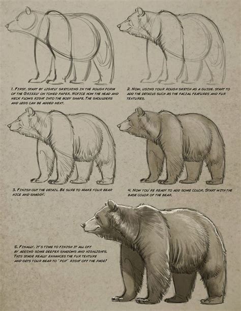 Anatoref Bear By Aaron Blaise Bear Paintings Bear Art Bear Sketch