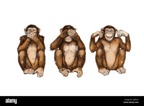 Illustration Drawing Three Wise Monkeys See Hear Speak No Evil