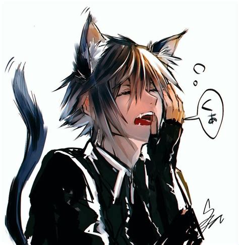 Neko Sora Neko Boy Anime Cat Boy Anime Wolf Cute Anime Boy Manga