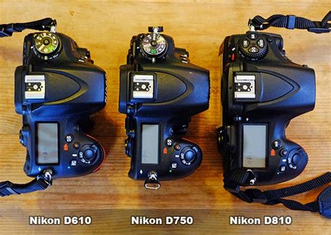 Nikon D810 Vs D750 Vs D610 Trusted Reviews