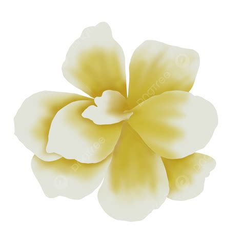 Gambar Ilustrasi Bunga Kuning Bunga Kuning Floral Png Transparan