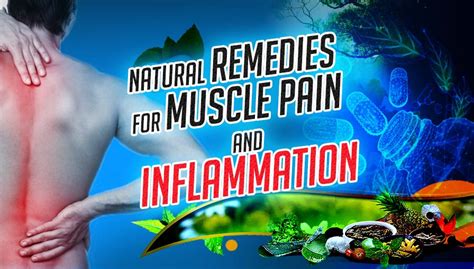 Natural Remedies For Muscle Pain And Inflammation Health For Best Life