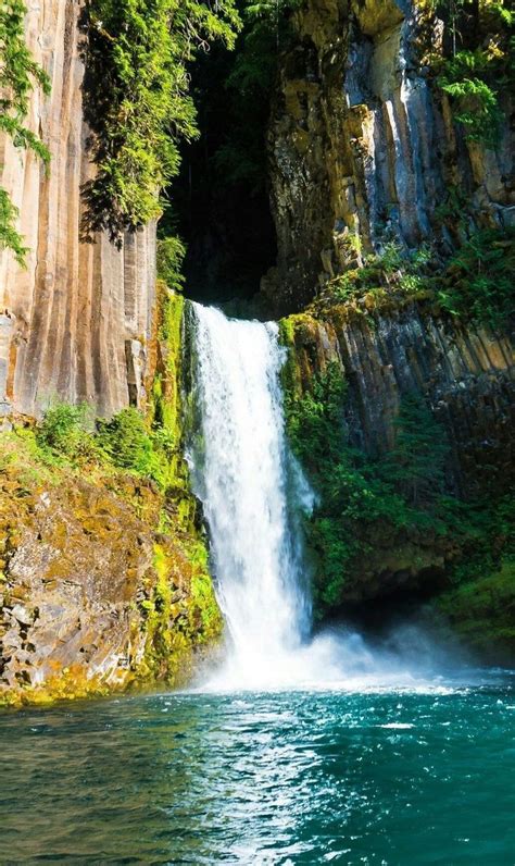 10 Amazing Waterfall Hikes In Oregon Oregon Road Trip Oregon