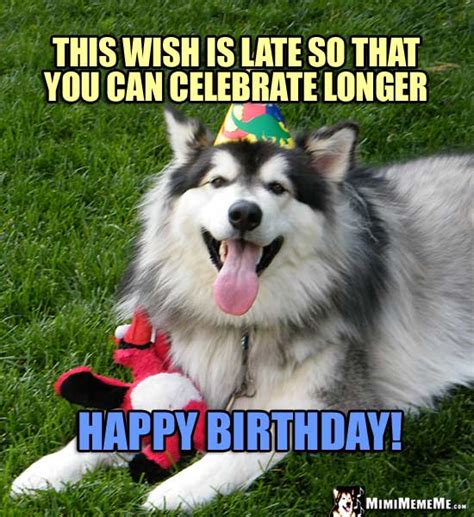 85 Funny Belated Birthday Meme That Will Make You