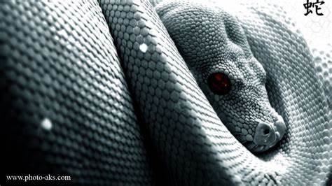 Джиллиан майклс сбрось вес и ускорь метаболизм Убийца Жира На Бедрах И Ягодицах На Русском - promexcut Убийца Жира На Бедрах И Ягодицах На Русском - promexcut Джиллиан майклс сбрось вес и ускорь метаболизм