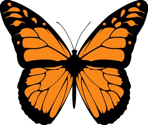 Monarch Butterfly Silhouette Png Download As Svg Vector Transparent Png
