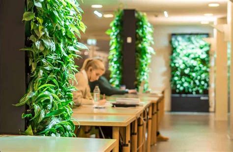 Nurturing Minds 5 Benefits Of Living Walls In Educational Spaces Eco