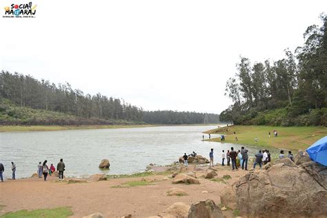 Mesmerizing Ooty Pine Forest And 1 Shooting Point In Ooty Socialmaharaj