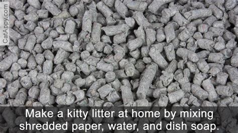 What we especially like about skoon cat litter in our critique of it is that it's biodegradable. 12 Alternatives to Clay Cat Litter You Didn't Know - Cat Appy