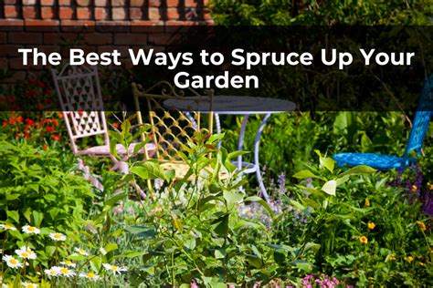 The Best Ways To Spruce Up Your Garden Real Men Sow