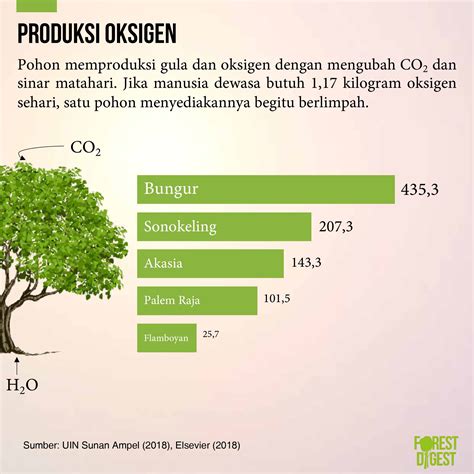 Tanam Satu Pohon Beri Oksigen Ratusan Orang