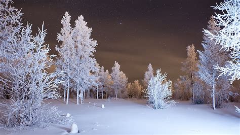 Download Wallpaper Winter Forest Snow 4k Ultra Hd By Danielrowe 4k