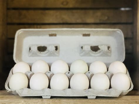 Duck Eggs 1 Dozen Millers Biodiversity Farm