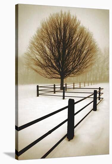 Solitude Stretched Canvas Print By David Winston