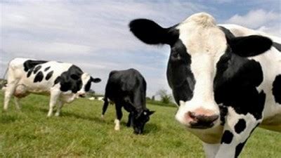 Consulta el valor del permiso de circulación y cotiza tu soap 2021. Desde el miércoles habrá un único permiso de circulación ...