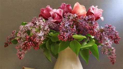 Download Wallpaper 1920x1080 Lilacs Tulips Flower Spring Vase