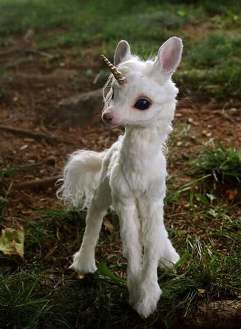 Pin By Sofiapenna On Unicornios Cute Animals Baby Animals Pictures