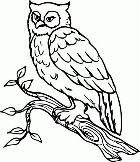 Anda bisa menambahkan rincian lainnya sesuai dengan keinginan. Mewarnai Gambar "Burung Hantu" Diatas Ranting - Contoh ...