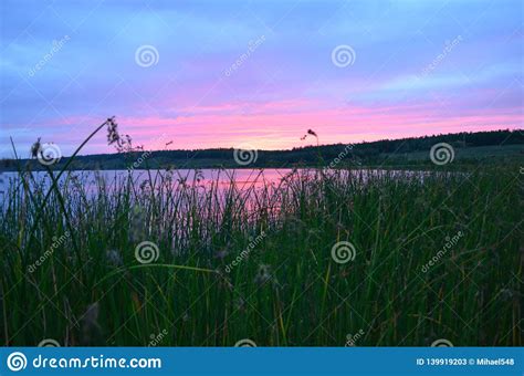 Quiet Evening And Sunset On The Lake Stock Image Image Of Quiet