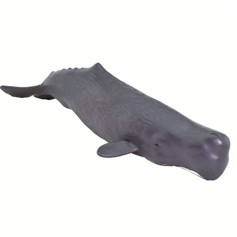 Sperm Whale Toy Sea Life Safari Ltd®