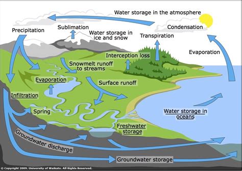 The Water Cycle — Science Learning Hub