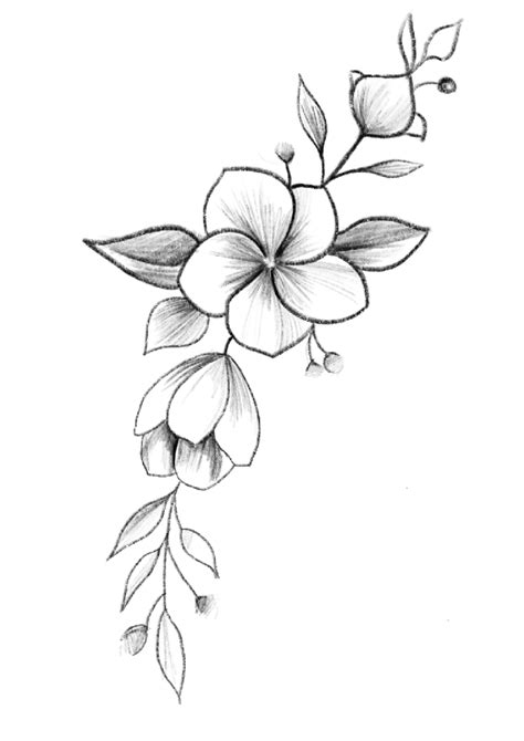 Pin By Alizia Huerta Serna On Malerei Flower Drawing Pencil Drawings