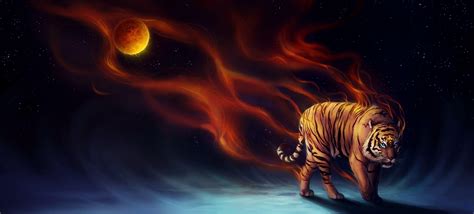 Flaming Tiger Wallpapers Top Free Flaming Tiger Backgrounds