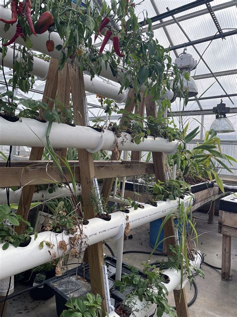 How To Guide Commercial Hydroponic