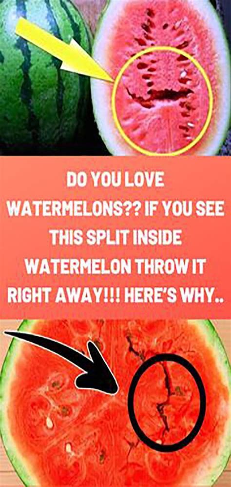 Do You Love Watermelons If You See This Split Inside Watermelon Throw