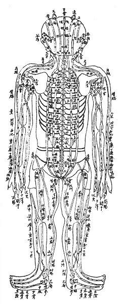 Chinese Acupuncture Chart Showing The Kidney Meridian 10409514