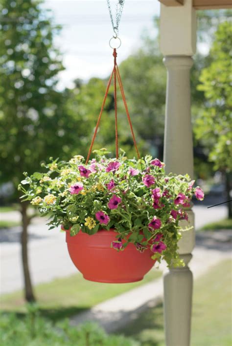 Latest Hanging Flower Pots Ideas For Small Balcony The Architecture