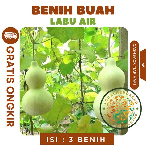 Benih Labu Air Panjang Balistik Bibit Sayuran Unggul Bintang Asia