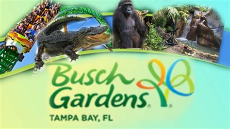 Busch Gardens Tampa Florida Robys 6th Birthday Celebration Exploring