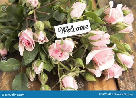 Welcome Card With Bouquet Of Pink Roses Stock Image Image Of Greeting